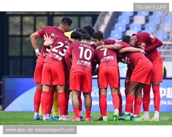 上海海港新援表现获得认可,上海海港新外援受伤 上海海港新援表现获得认可,上海海港新外援受伤